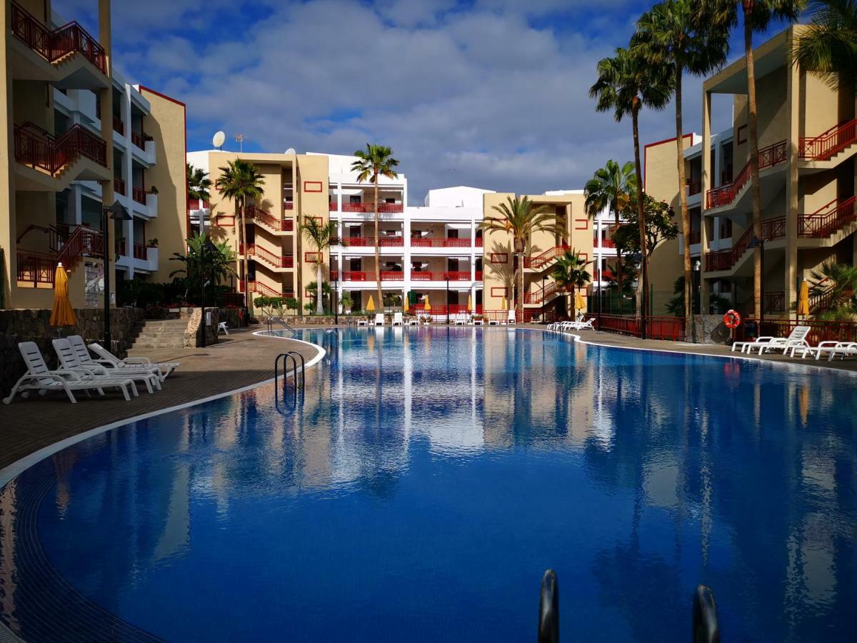 Beautiful * Palm-mar