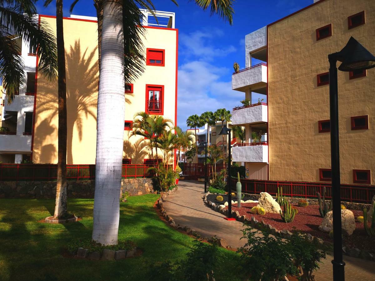 Beautiful Palm-mar